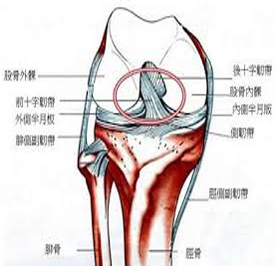 20130715101620605.jpg