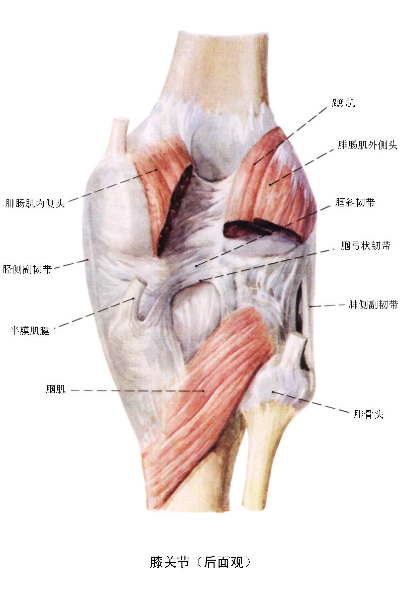20130423105202.JPG